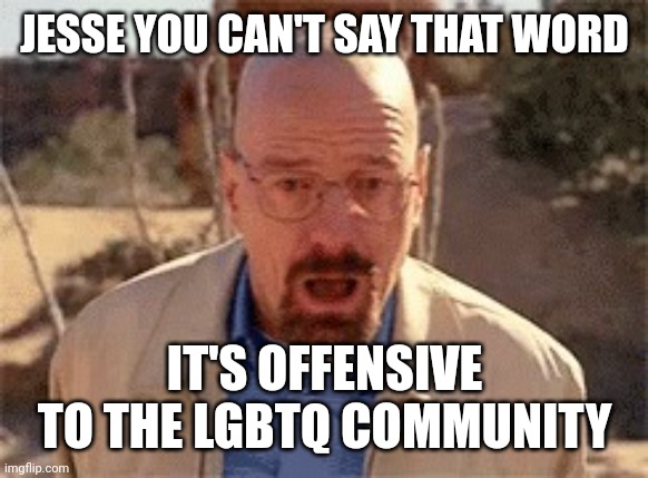 walter white | JESSE YOU CAN'T SAY THAT WORD; IT'S OFFENSIVE TO THE LGBTQ COMMUNITY | image tagged in walter white | made w/ Imgflip meme maker