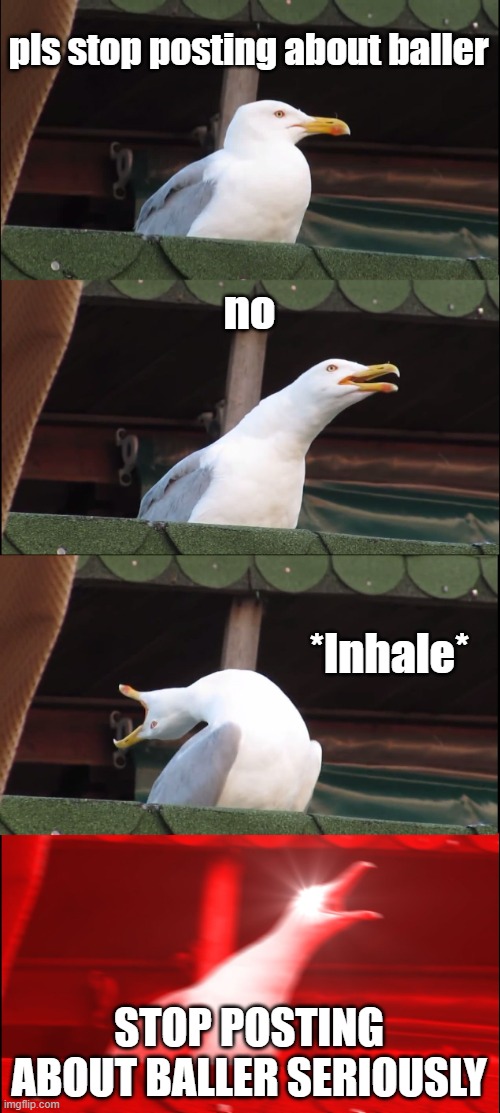 Inhaling Seagull | pls stop posting about baller; no; *Inhale*; STOP POSTING ABOUT BALLER SERIOUSLY | image tagged in memes,inhaling seagull | made w/ Imgflip meme maker