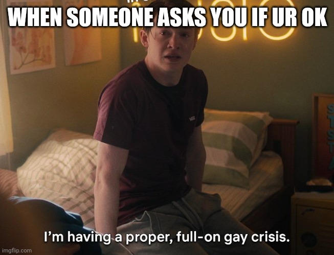 Gay crisis | WHEN SOMEONE ASKS YOU IF UR OK | image tagged in heartstopper | made w/ Imgflip meme maker