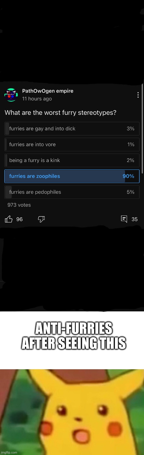 ANTI-FURRIES AFTER SEEING THIS | image tagged in memes,surprised pikachu | made w/ Imgflip meme maker