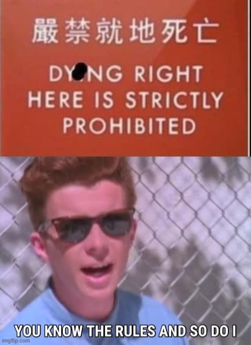 Rick Astley You Know The Rules Imgflip 7232