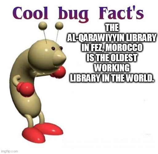 fact | THE AL-QARAWIYYIN LIBRARY IN FEZ, MOROCCO IS THE OLDEST WORKING LIBRARY IN THE WORLD. | image tagged in cool bug facts | made w/ Imgflip meme maker