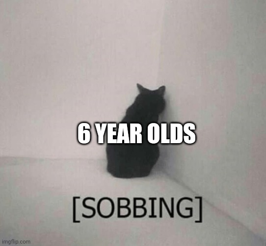 Sobbing cat | 6 YEAR OLDS | image tagged in sobbing cat | made w/ Imgflip meme maker