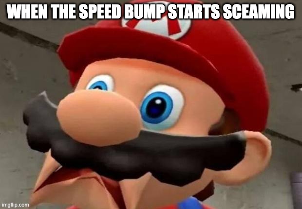 Mario No | WHEN THE SPEED BUMP STARTS SCEAMING | image tagged in mario wtf | made w/ Imgflip meme maker