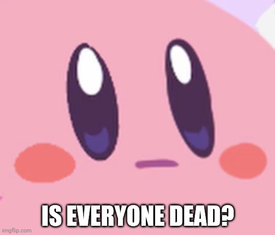 Blank Kirby Face | IS EVERYONE DEAD? | image tagged in blank kirby face | made w/ Imgflip meme maker