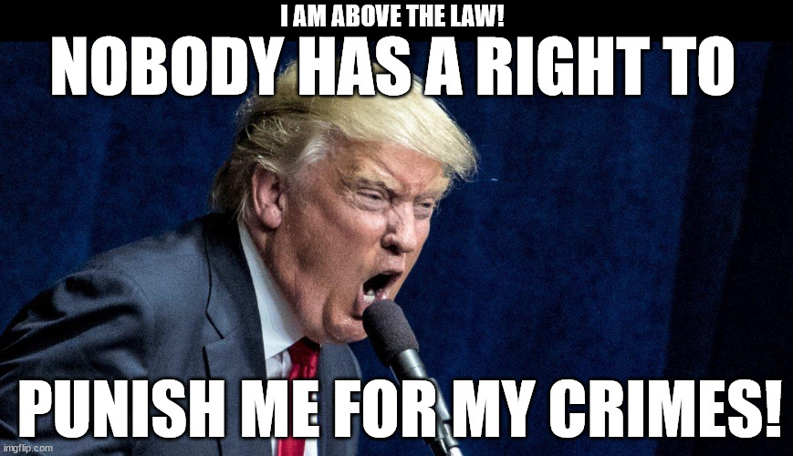 Florida Man Makes Announcement | I AM ABOVE THE LAW! NOBODY HAS A RIGHT TO; PUNISH ME FOR MY CRIMES! | image tagged in loud and stupid | made w/ Imgflip meme maker