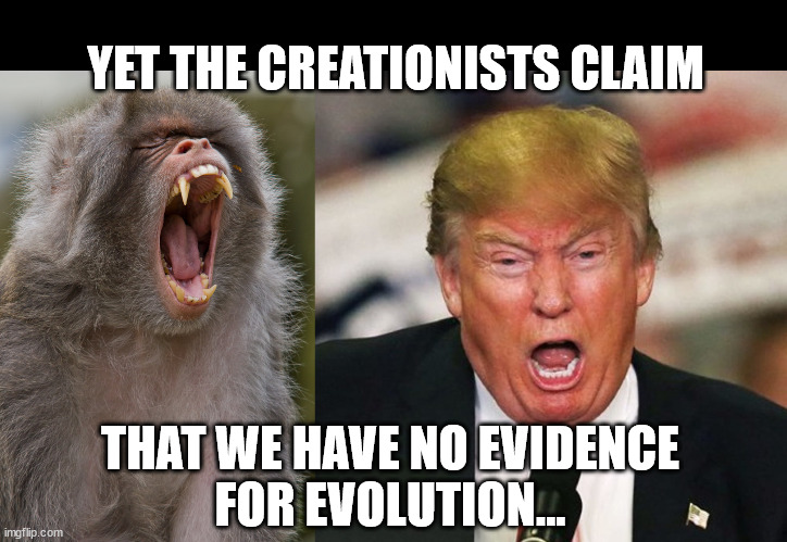 See the resemblance? | YET THE CREATIONISTS CLAIM; THAT WE HAVE NO EVIDENCE
FOR EVOLUTION... | image tagged in devolution | made w/ Imgflip meme maker