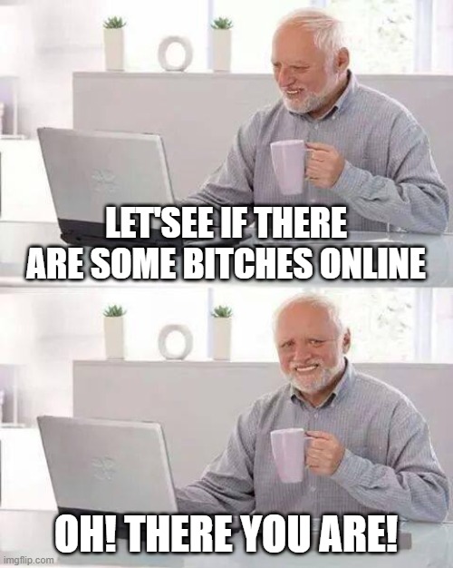 Is there somes bitches online? | LET'SEE IF THERE ARE SOME BITCHES ONLINE; OH! THERE YOU ARE! | image tagged in memes,hide the pain harold | made w/ Imgflip meme maker