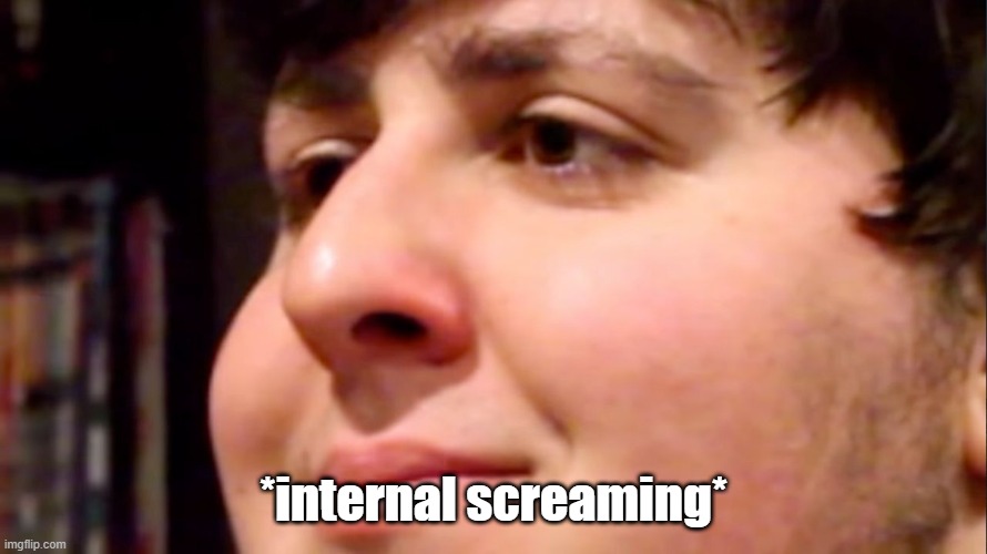 Jontron internal screaming | *internal screaming* | image tagged in jontron internal screaming | made w/ Imgflip meme maker