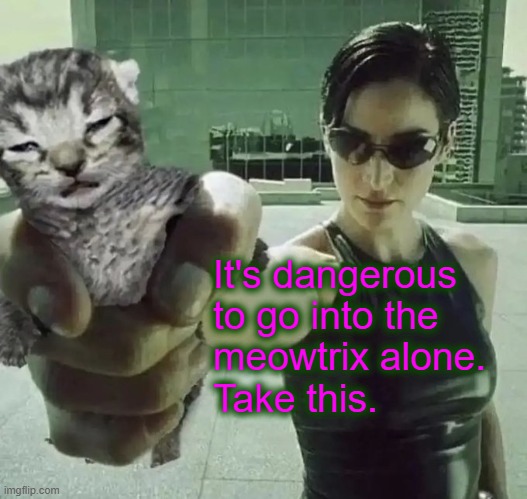 "To deny our own impulses is to deny the very thing that makes us human" | It's dangerous to go into the 
meowtrix alone.  
Take this. | made w/ Imgflip meme maker