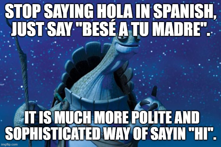 Master Oogway | STOP SAYING HOLA IN SPANISH, JUST SAY "BESÉ A TU MADRE". IT IS MUCH MORE POLITE AND SOPHISTICATED WAY OF SAYIN "HI". | image tagged in master oogway,spanish,gottem | made w/ Imgflip meme maker