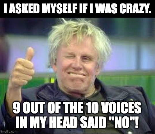 crazy | I ASKED MYSELF IF I WAS CRAZY. 9 OUT OF THE 10 VOICES IN MY HEAD SAID "NO"! | image tagged in gary busey approves | made w/ Imgflip meme maker