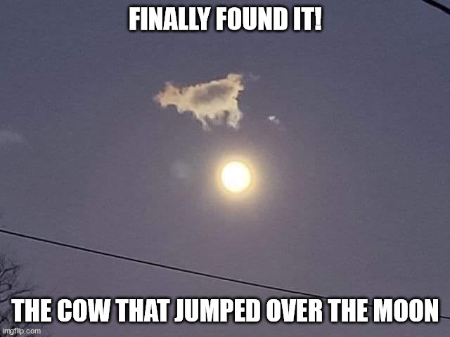FINALLY FOUND IT! THE COW THAT JUMPED OVER THE MOON | image tagged in durl earl | made w/ Imgflip meme maker