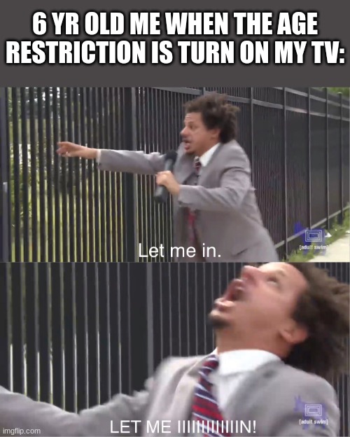 Yep | 6 YR OLD ME WHEN THE AGE RESTRICTION IS TURN ON MY TV: | image tagged in funny,funny memes,let me in | made w/ Imgflip meme maker