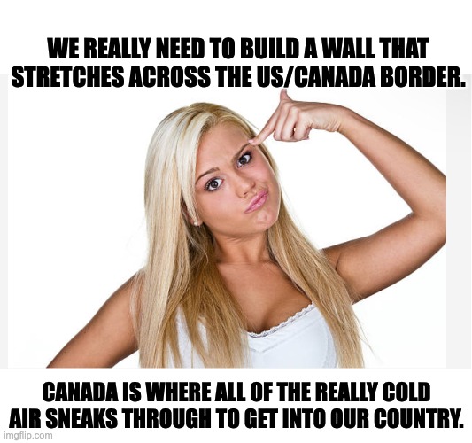 Cold front coming | WE REALLY NEED TO BUILD A WALL THAT STRETCHES ACROSS THE US/CANADA BORDER. CANADA IS WHERE ALL OF THE REALLY COLD AIR SNEAKS THROUGH TO GET INTO OUR COUNTRY. | image tagged in dumb blonde | made w/ Imgflip meme maker