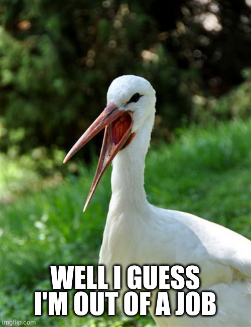 The stork | WELL I GUESS I'M OUT OF A JOB | image tagged in the stork | made w/ Imgflip meme maker