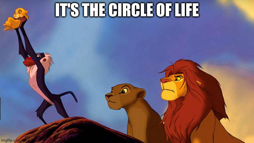 Circle of Life | IT'S THE CIRCLE OF LIFE | image tagged in circle of life | made w/ Imgflip meme maker