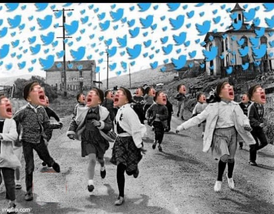 The Birds | image tagged in triggered,liberals,running away,twitter | made w/ Imgflip meme maker