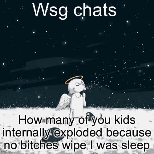 Avogado6 | Wsg chats; How many of you kids internally exploded because no bitches wipe I was sleep | image tagged in avogado6 | made w/ Imgflip meme maker