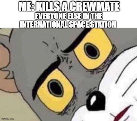 Among us meme | ME: KILLS A CREWMATE; EVERYONE ELSE IN THE INTERNATIONAL SPACE STATION | image tagged in tom cat unsettled close up | made w/ Imgflip meme maker