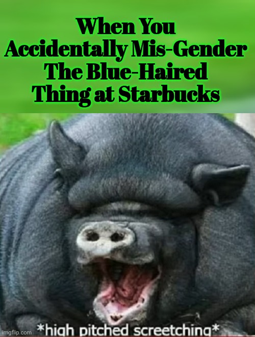When You Accidentally Mis-Gender The Blue-Haired Thing at Starbucks | When You Accidentally Mis-Gender The Blue-Haired Thing at Starbucks | image tagged in high-pitched demonic screeching | made w/ Imgflip meme maker
