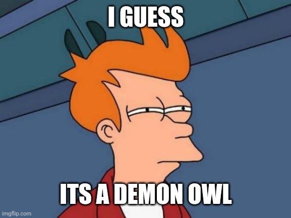 Futurama Fry Meme | I GUESS ITS A DEMON OWL | image tagged in memes,futurama fry | made w/ Imgflip meme maker