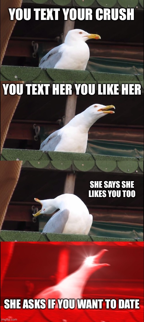 Inhaling Seagull Meme | YOU TEXT YOUR CRUSH; YOU TEXT HER YOU LIKE HER; SHE SAYS SHE LIKES YOU TOO; SHE ASKS IF YOU WANT TO DATE | image tagged in memes,inhaling seagull | made w/ Imgflip meme maker