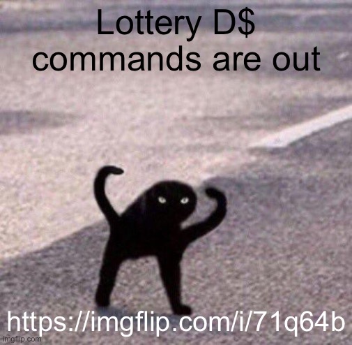 Cursed cat temp | Lottery D$ commands are out; https://imgflip.com/i/71q64b | image tagged in cursed cat temp | made w/ Imgflip meme maker