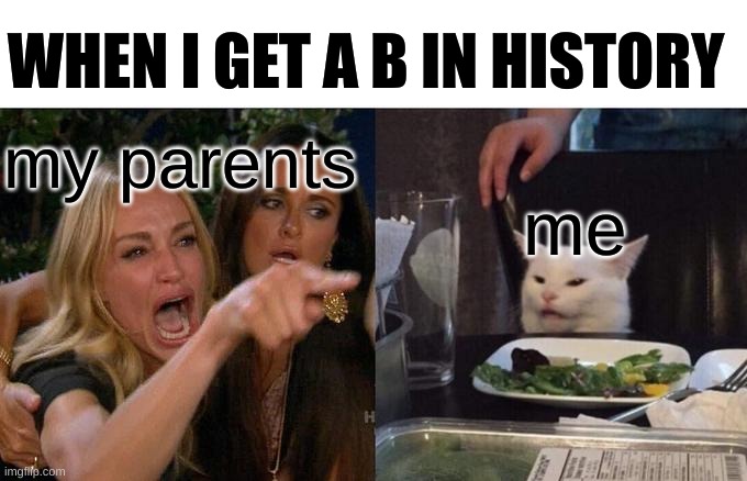true | WHEN I GET A B IN HISTORY; my parents; me | image tagged in memes,woman yelling at cat | made w/ Imgflip meme maker