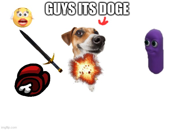 doge | GUYS ITS DOGE | image tagged in cool | made w/ Imgflip meme maker