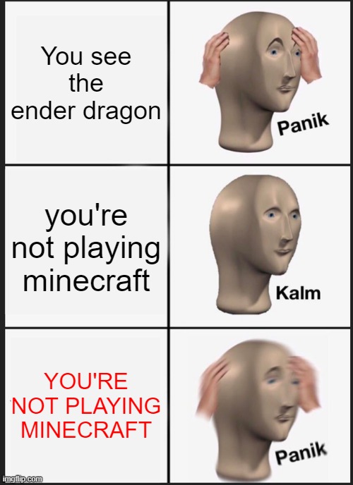 Panik Kalm Panik Meme | You see the ender dragon; you're not playing minecraft; YOU'RE NOT PLAYING MINECRAFT | image tagged in memes,panik kalm panik | made w/ Imgflip meme maker