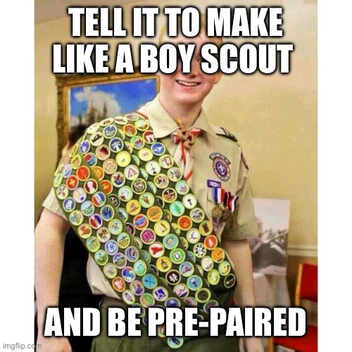 Boy Scout | TELL IT TO MAKE LIKE A BOY SCOUT AND BE PRE-PAIRED | image tagged in boy scout | made w/ Imgflip meme maker