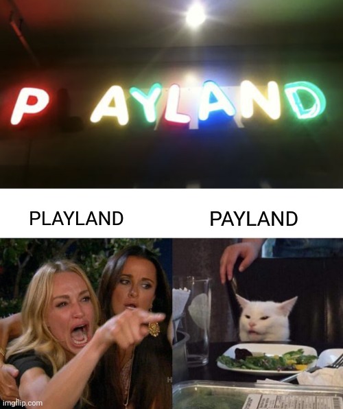 Payland | PLAYLAND; PAYLAND | image tagged in memes,woman yelling at cat,neon lights,you had one job,neon | made w/ Imgflip meme maker