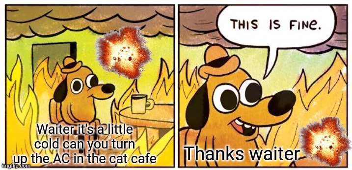 Dog like cat cafe on fire where they serve fish for cats | Waiter it's a little cold can you turn up the AC in the cat cafe; Thanks waiter | image tagged in memes,this is fine | made w/ Imgflip meme maker