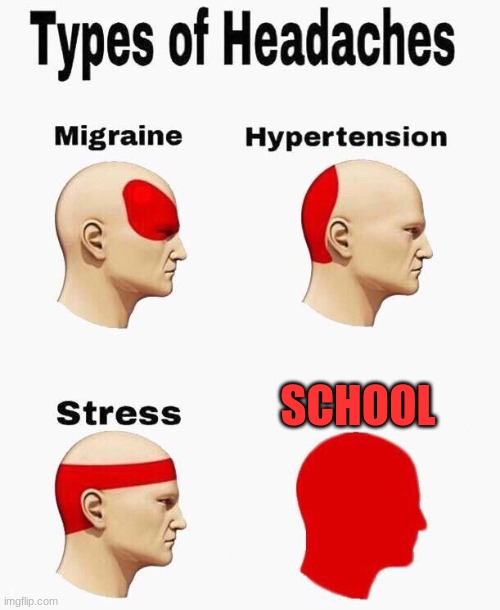 Headaches | SCHOOL | image tagged in headaches | made w/ Imgflip meme maker