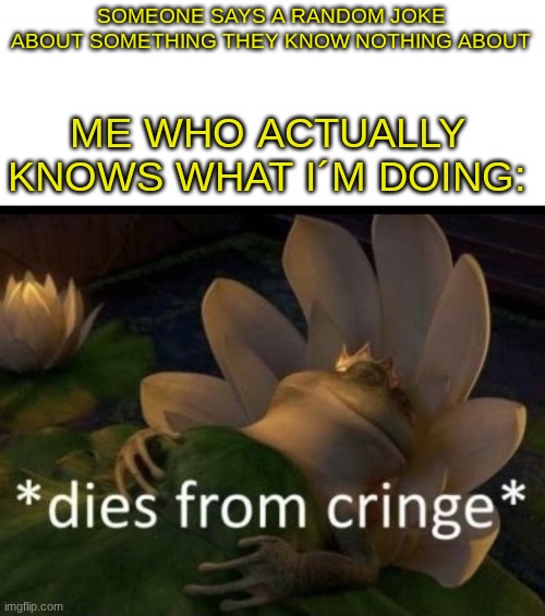 Ever had this feeling before | SOMEONE SAYS A RANDOM JOKE ABOUT SOMETHING THEY KNOW NOTHING ABOUT; ME WHO ACTUALLY KNOWS WHAT I´M DOING: | image tagged in dies from cringe | made w/ Imgflip meme maker