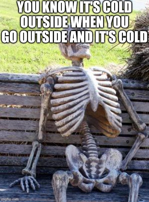 Waiting Skeleton | YOU KNOW IT'S COLD OUTSIDE WHEN YOU GO OUTSIDE AND IT'S COLD | image tagged in memes,waiting skeleton | made w/ Imgflip meme maker