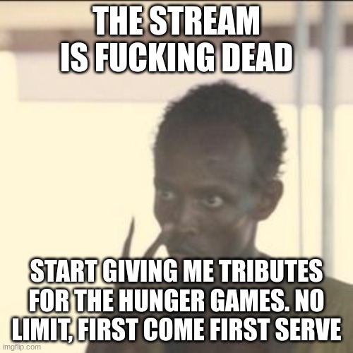 Look At Me | THE STREAM IS FUCKING DEAD; START GIVING ME TRIBUTES FOR THE HUNGER GAMES. NO LIMIT, FIRST COME FIRST SERVE | image tagged in memes,look at me | made w/ Imgflip meme maker