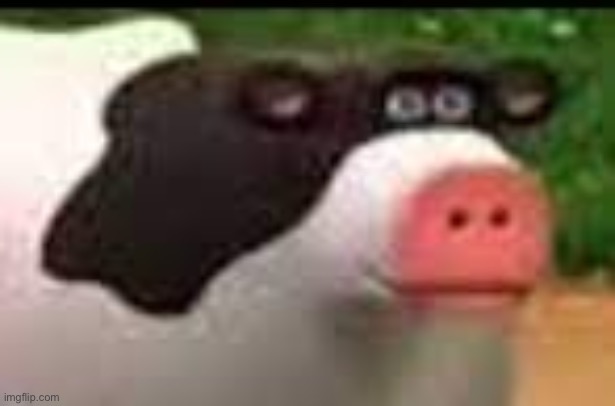Mmmmm cow | image tagged in mmmmm cow | made w/ Imgflip meme maker