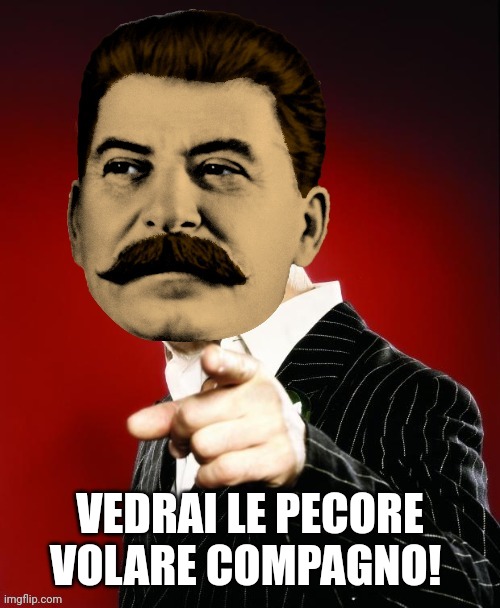 Stalin Siffredi | VEDRAI LE PECORE VOLARE COMPAGNO! | image tagged in stalin siffredi | made w/ Imgflip meme maker