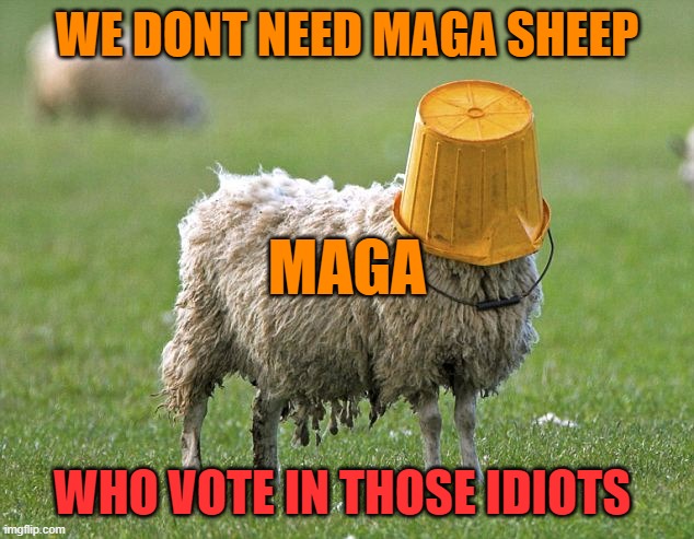 stupid sheep | WE DONT NEED MAGA SHEEP WHO VOTE IN THOSE IDIOTS MAGA | image tagged in stupid sheep | made w/ Imgflip meme maker