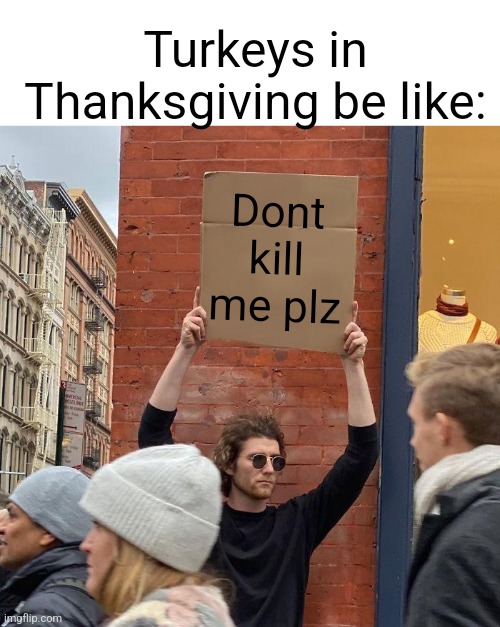 this meme is a little late from thanksgiving, soooo | Turkeys in Thanksgiving be like:; Dont kill me plz | image tagged in memes,guy holding cardboard sign,turkeys | made w/ Imgflip meme maker