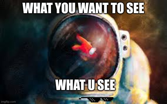 LOL | WHAT YOU WANT TO SEE; WHAT U SEE | image tagged in memes | made w/ Imgflip meme maker