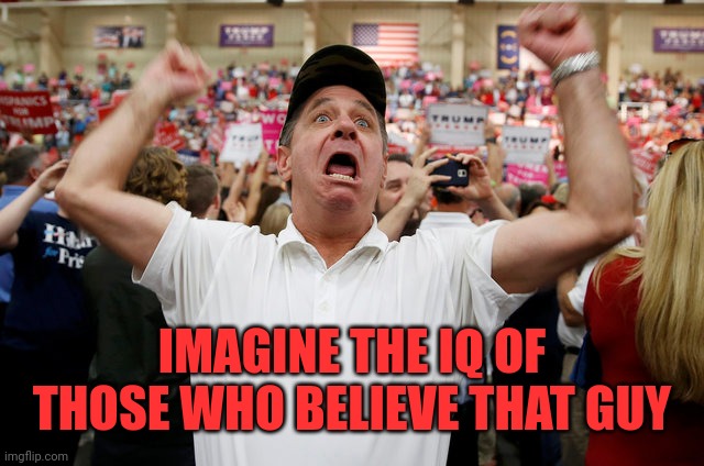 Trump Supporter Triggered | IMAGINE THE IQ OF THOSE WHO BELIEVE THAT GUY | image tagged in trump supporter triggered | made w/ Imgflip meme maker