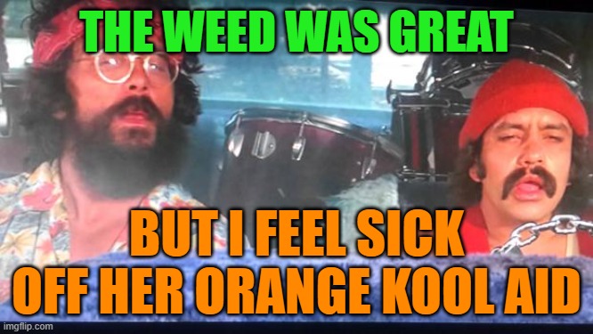 cheech and chong | THE WEED WAS GREAT BUT I FEEL SICK OFF HER ORANGE KOOL AID | image tagged in cheech and chong | made w/ Imgflip meme maker