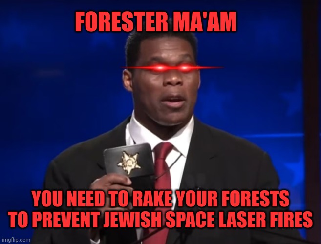 Herschel Walker | FORESTER MA'AM YOU NEED TO RAKE YOUR FORESTS TO PREVENT JEWISH SPACE LASER FIRES | image tagged in herschel walker | made w/ Imgflip meme maker