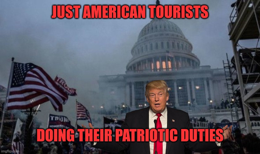 misconstrued coup | JUST AMERICAN TOURISTS DOING THEIR PATRIOTIC DUTIES | image tagged in misconstrued coup | made w/ Imgflip meme maker
