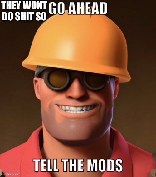 Go ahead, tell the mods. | THEY WONT DO SHIT SO | image tagged in go ahead tell the mods | made w/ Imgflip meme maker