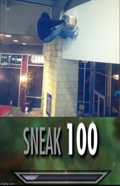 sneak 100 | image tagged in sneak 100 | made w/ Imgflip meme maker