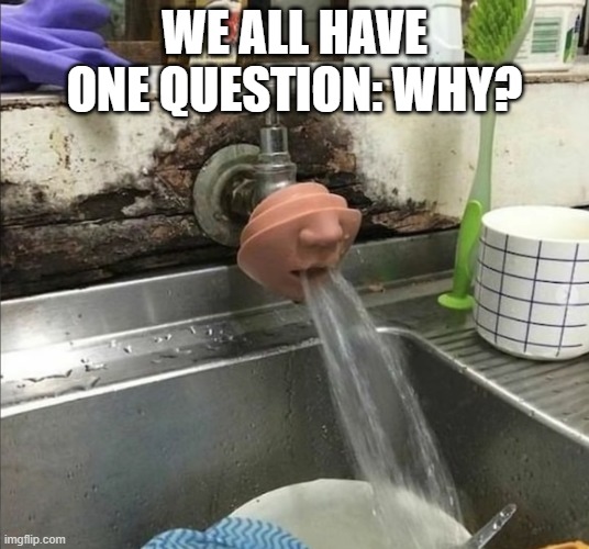 WE ALL HAVE ONE QUESTION: WHY? | image tagged in memes | made w/ Imgflip meme maker